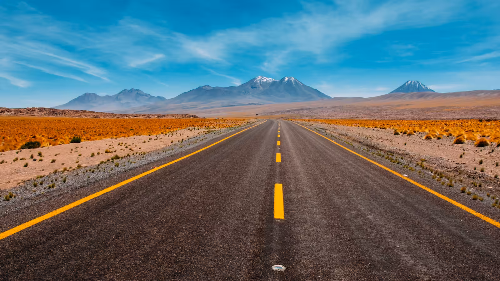 Insurance consultation